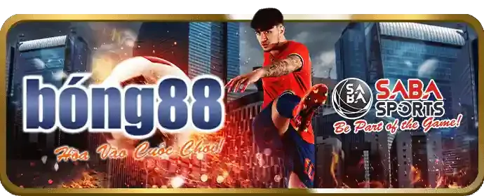 Bảo mật và hỗ trợ khách hàng ph88